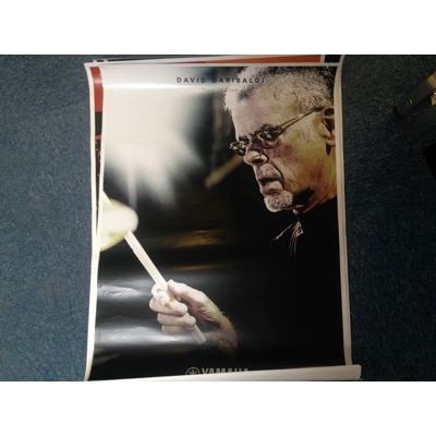 Yamaha David Garibaldi Poster