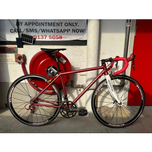 DC R2 (Purple/1x11 LTWOO/M)