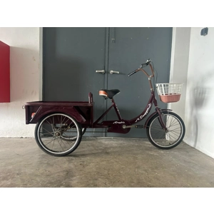 Cargo Tricycle Dongque