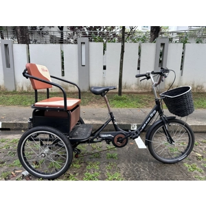 Taxin Adult tricycle cargo passenger