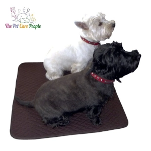 Dog Bed's by Thermatex