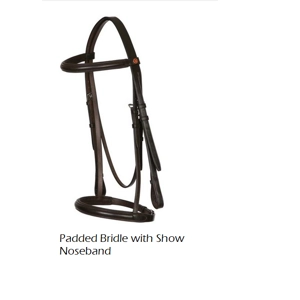 Raised Padded Bridle with Show Noseband