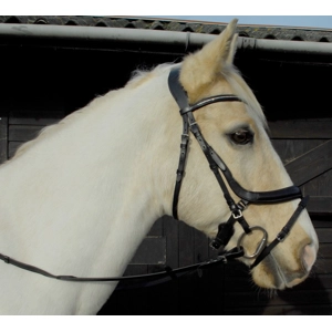 Heritage Anatomical Flash Bridle