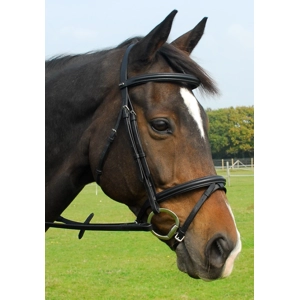 Heritage English Leather Bridle with Flash Noseband