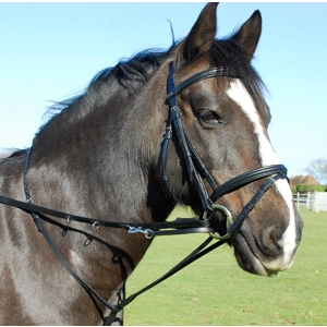 Heritage English Leather Market Harborough with Reins