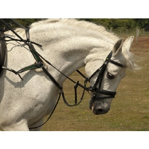 Rhinegold German Leather 5 Point Breastplate