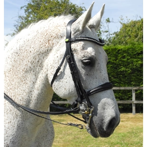 Rhinegold Anatomic Double Bridle with Crank Style Noseband