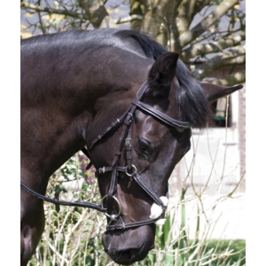 Rhinegold German Leather 'Elegance' Bridle with Mexican Style Noseband