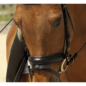 Rhinegold German Leather Comfort Bridle with Flash Noseand