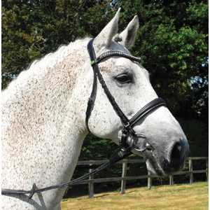 Rhinegold Italian Leather Anatomical Bridle