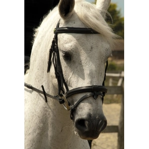 Rhinegold German Leather Bridle with Detachable Flash Noseband