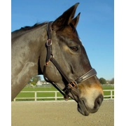 Rhinegold Rocco Italia Turin Leather Headcollar