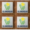 Glamorgan GLASS Coasters x 4