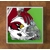 Arizona Cardinals GLASS Coasters x 4