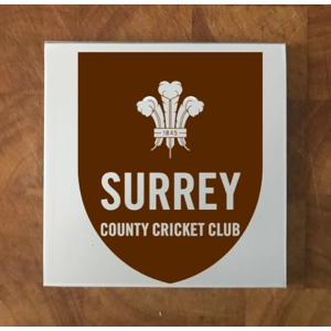 Surrey GLASS Coasters x 4