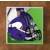 Minnesota Vikings GLASS Coasters x 4