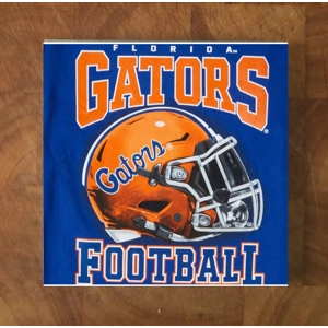 Florida Gators GLASS Coasters x 4