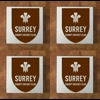 Surrey GLASS Coasters x 4