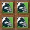 Philadelphia Eagles GLASS Coasters x 4