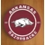 Arkansas Razorbacks Round Coasters x 6 COPY