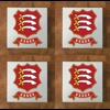 Essex GLASS Coasters x 4