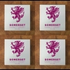 Somerset GLASS Coasters x 4
