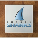 Sussex GLASS Coasters x 4