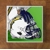 Los Angeles Chargers GLASS Coasters x 4
