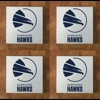 Hampshire Hawks GLASS Coasters x 4