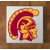 USC Trojans GLASS Coasters x 4