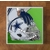Dallas Cowboys GLASS Coasters x 4
