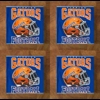 Florida Gators GLASS Coasters x 4