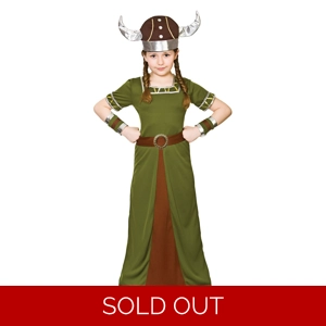 Viking Princess Costume