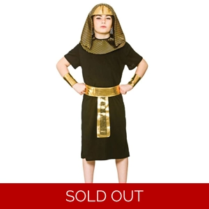 Egyptian King Costume