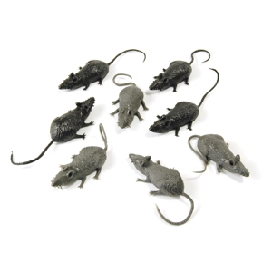 Rubber Mouse