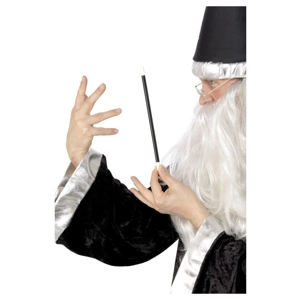 Magician's Wand