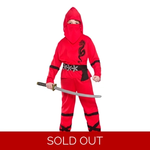 Power Ninja Costume