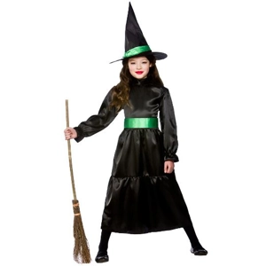 Wicked Witch Costume