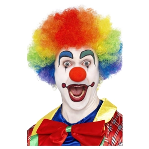 Clown Wig - Rainbow