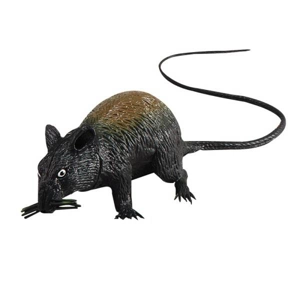Squeaking Rat