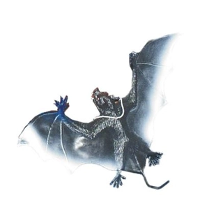 Rubber Vampire Bat