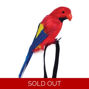 Wrist Parrot - Feathered