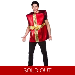 Christmas Gift Costume