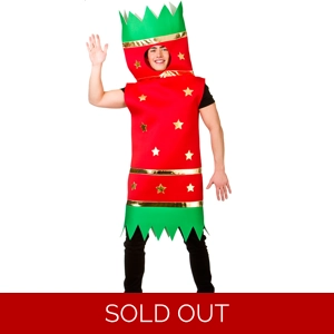 Christmas Cracker Costume