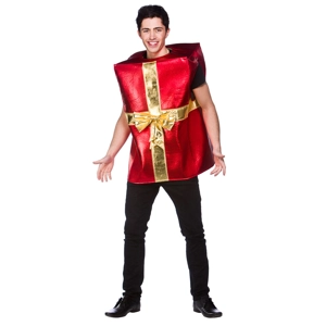 Christmas Gift Costume