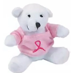 Teddy Bear, Breast Cancer Awareness - Pink Ribbon