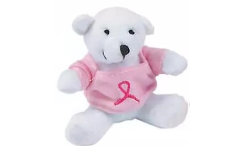 Teddy Bear, Breast Cancer Awareness - Pink Ribbon