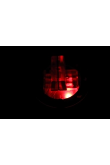 PRZM RED PRZM RED
