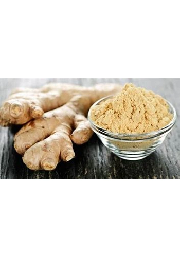 Ginger Root