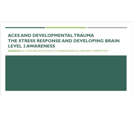 ACEs - The Stress Response and Developing Brain Training Resources